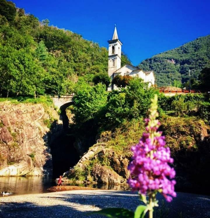 Antico Sempione Glicine Apartment Cannobio Bagian luar foto